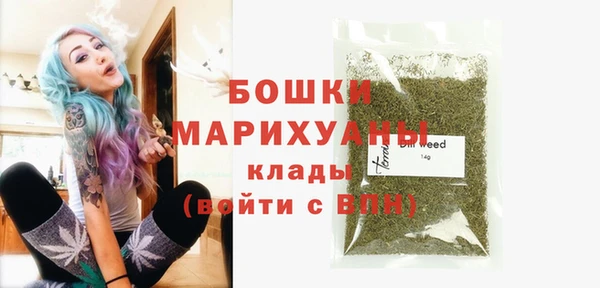 spice Няндома