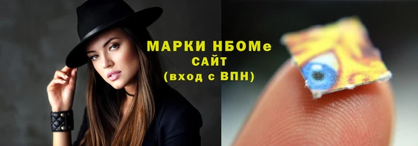 шишки Нязепетровск
