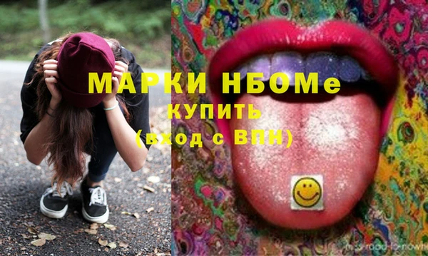шишки Нязепетровск