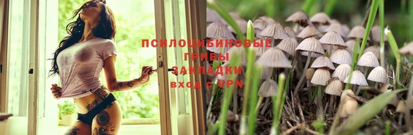 шишки Нязепетровск