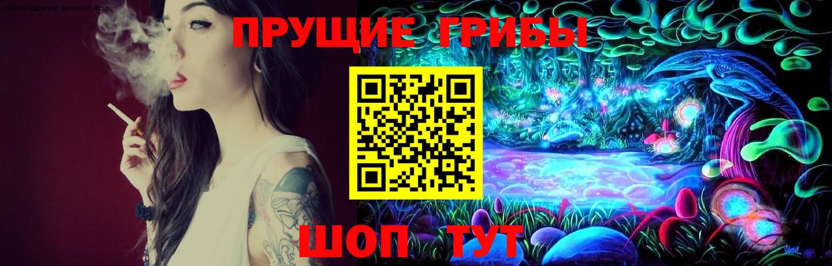 Псилоцибиновые грибы Psilocybe  Вход с VPN  Туймазы 